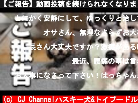 【ご報告】動画投稿を続けられなくなりました。ハスキー犬と保護犬トイプードル  (c) CJ Channelハスキー犬&トイプードル