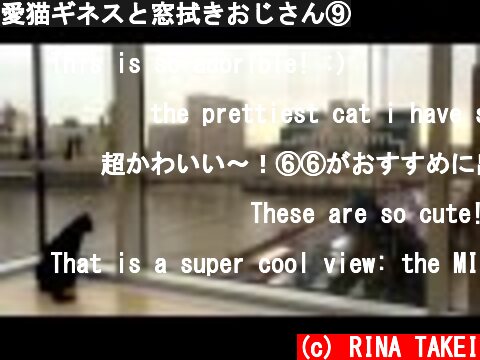 愛猫ギネスと窓拭きおじさん⑨  (c) RINA TAKEI