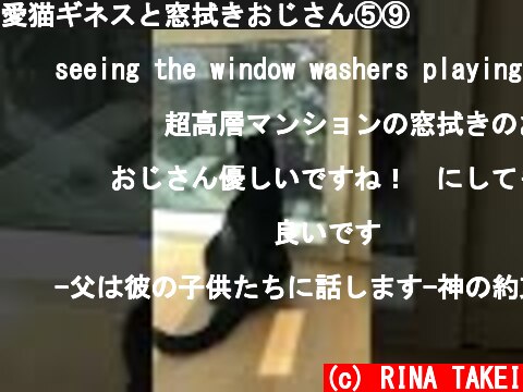 愛猫ギネスと窓拭きおじさん⑤⑨  (c) RINA TAKEI