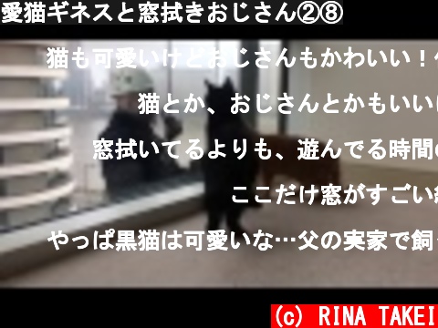 愛猫ギネスと窓拭きおじさん②⑧  (c) RINA TAKEI