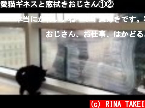 愛猫ギネスと窓拭きおじさん①②  (c) RINA TAKEI