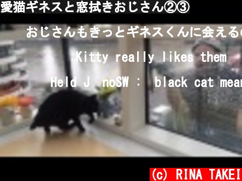 愛猫ギネスと窓拭きおじさん②③  (c) RINA TAKEI