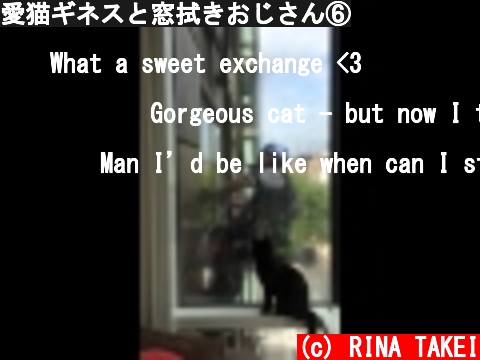 愛猫ギネスと窓拭きおじさん⑥  (c) RINA TAKEI