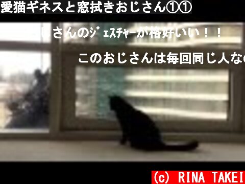 愛猫ギネスと窓拭きおじさん①①  (c) RINA TAKEI