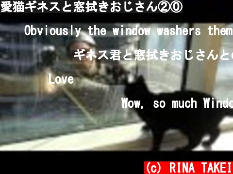 愛猫ギネスと窓拭きおじさん②⓪  (c) RINA TAKEI
