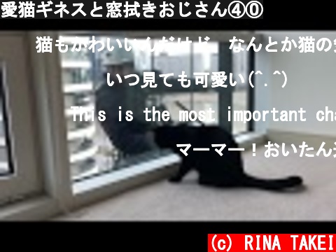 愛猫ギネスと窓拭きおじさん④⓪  (c) RINA TAKEI