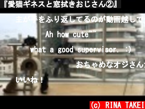 『愛猫ギネスと窓拭きおじさん②』  (c) RINA TAKEI
