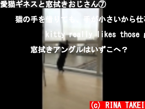 愛猫ギネスと窓拭きおじさん⑦  (c) RINA TAKEI