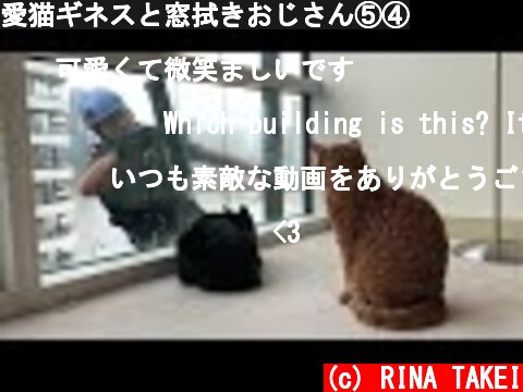 愛猫ギネスと窓拭きおじさん⑤④  (c) RINA TAKEI