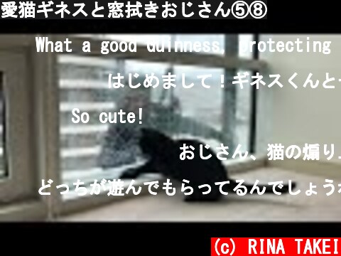 愛猫ギネスと窓拭きおじさん⑤⑧  (c) RINA TAKEI