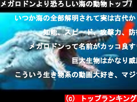 メガロドンより恐ろしい海の動物トップ7  (c) トップランキング