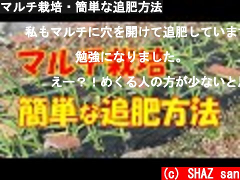 マルチ栽培・簡単な追肥方法  (c) SHAZ san