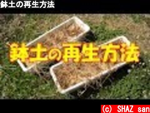 鉢土の再生方法  (c) SHAZ san