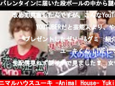バレンタインに届いた段ボールの中から謎の生き物が！犬の散歩中に甘栗を…、卵料理動画に女性の声！？  (c) アニマルハウスユーキ -Animal House- Yuki