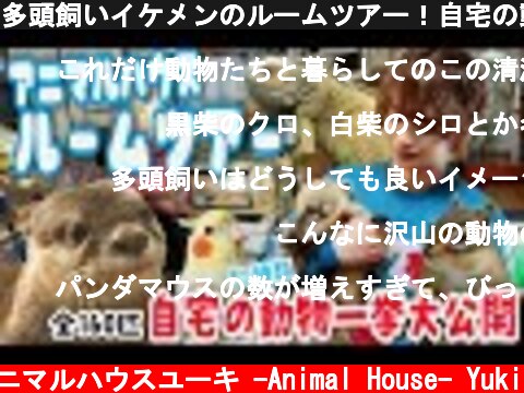 多頭飼いイケメンのルームツアー！自宅の動物(ペット)一挙大公開したら想像以上にスゴすぎた... Man's room tour  (c) アニマルハウスユーキ -Animal House- Yuki