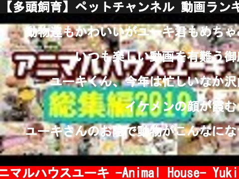 【多頭飼育】ペットチャンネル 動画ランキングTOP10 総集編2019  (c) アニマルハウスユーキ -Animal House- Yuki