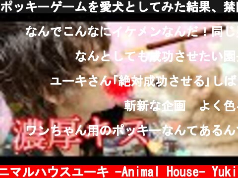 ポッキーゲームを愛犬としてみた結果、禁断の関係に発展www  (c) アニマルハウスユーキ -Animal House- Yuki