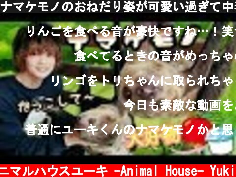 ナマケモノのおねだり姿が可愛い過ぎて中毒になるのでご注意下さいwww The sloth begging is too cute and addictive.  (c) アニマルハウスユーキ -Animal House- Yuki
