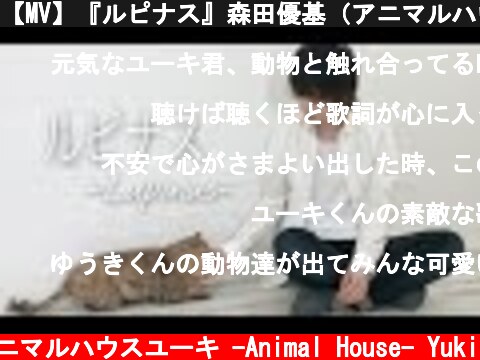 【MV】『ルピナス』森田優基（アニマルハウスユーキ）  (c) アニマルハウスユーキ -Animal House- Yuki