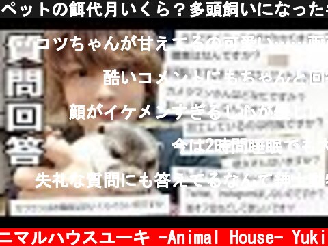 ペットの餌代月いくら？多頭飼いになったキッカケは？最後にお知らせあります！  (c) アニマルハウスユーキ -Animal House- Yuki