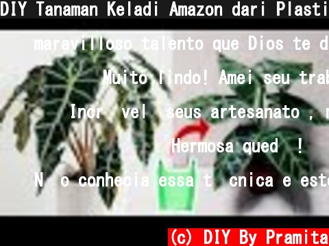 DIY Tanaman Keladi Amazon dari Plastik Kresek | Amazon Elephant`s Ear Plant/ African Mask Plant  (c) DIY By Pramita