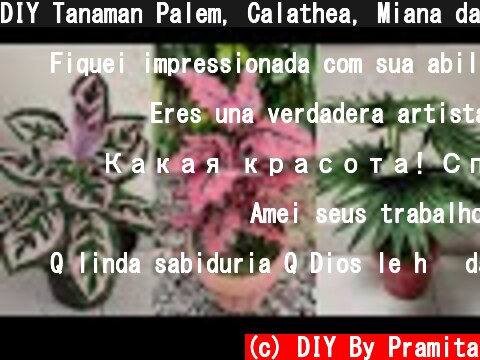 DIY Tanaman Palem, Calathea, Miana dari Plastik Kresek | How to make flower from plastic bag  (c) DIY By Pramita
