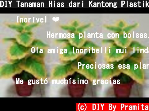 DIY Tanaman Hias dari Kantong Plastik | Docorative Plants from plastic bag  (c) DIY By Pramita