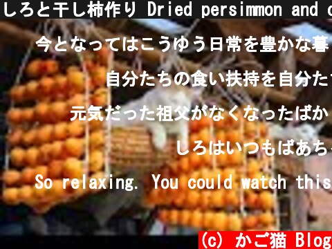 しろと干し柿作り Dried persimmon and cat 191120  (c) かご猫 Blog