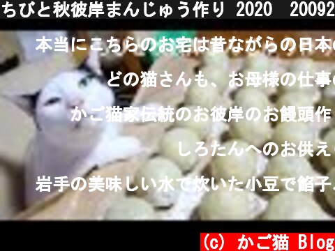ちびと秋彼岸まんじゅう作り 2020　200920  (c) かご猫 Blog