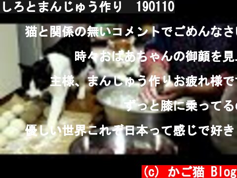 しろとまんじゅう作り　190110  (c) かご猫 Blog