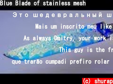 Blue Blade of stainless mesh  (c) shurap
