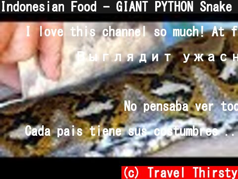 Indonesian Food - GIANT PYTHON Snake Curry Manado Indonesia  (c) Travel Thirsty