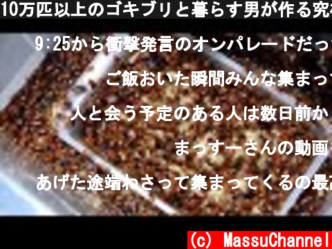 10万匹以上のゴキブリと暮らす男が作る究極の餌レシピ！！  (c) MassuChannel