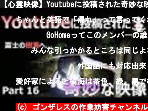 【心霊映像】Youtubeに投稿された奇妙な映像 Part16【作業妨害】  (c) ゴンザレスの作業妨害チャンネル