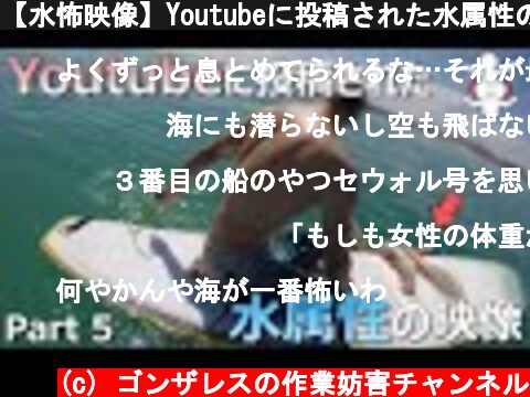【水怖映像】Youtubeに投稿された水属性の恐怖映像 Part5【作業妨害】  (c) ゴンザレスの作業妨害チャンネル