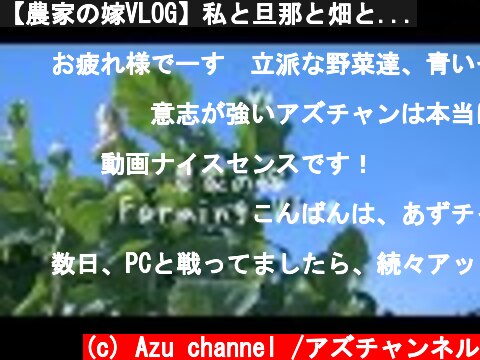 【農家の嫁VLOG】私と旦那と畑と...  (c) Azu channel /アズチャンネル