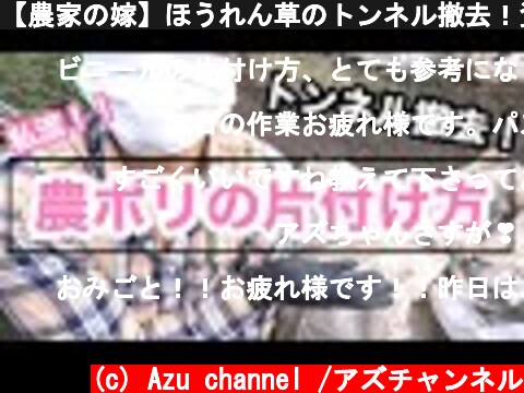 【農家の嫁】ほうれん草のトンネル撤去！資材の片付け方！！  (c) Azu channel /アズチャンネル