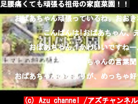足腰痛くても頑張る祖母の家庭菜園！！  (c) Azu channel /アズチャンネル