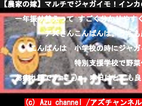 【農家の嫁】マルチでジャガイモ！インカのめざめ  (c) Azu channel /アズチャンネル