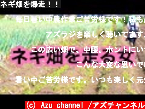 ネギ畑を爆走！！  (c) Azu channel /アズチャンネル