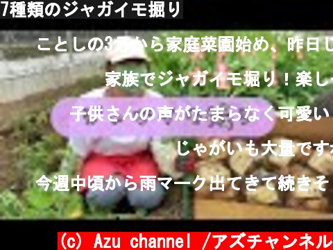 7種類のジャガイモ掘り  (c) Azu channel /アズチャンネル