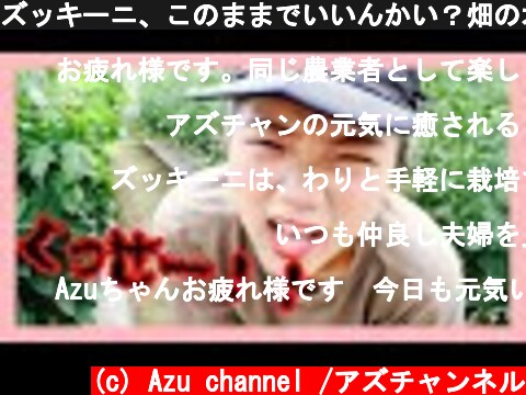 ズッキーニ、このままでいいんかい？畑のオヤジ臭。  (c) Azu channel /アズチャンネル