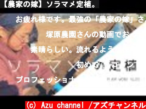 【農家の嫁】ソラマメ定植。  (c) Azu channel /アズチャンネル