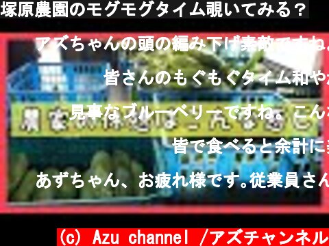 塚原農園のモグモグタイム覗いてみる？  (c) Azu channel /アズチャンネル