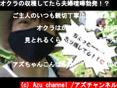 オクラの収穫してたら夫婦喧嘩勃発！？  (c) Azu channel /アズチャンネル