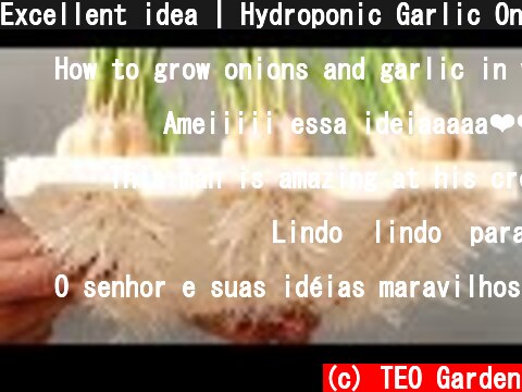 Excellent idea | Hydroponic Garlic Onion Cultivation at Home for Beginners  (c) TEO Garden