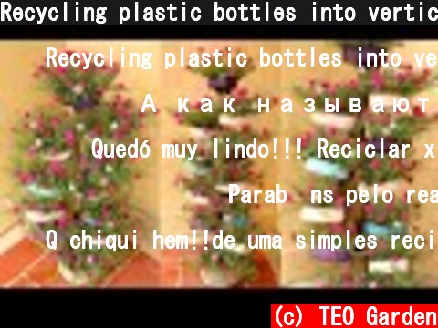 Recycling plastic bottles into vertical gardens, garden on dry tree  (c) TEO Garden