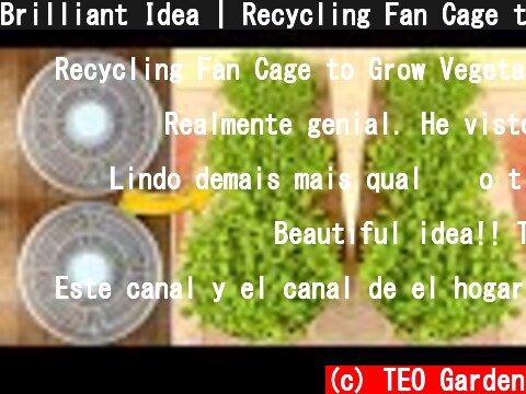 Brilliant Idea | Recycling Fan Cage to Grow Vegetables at Home | TEO Garden  (c) TEO Garden