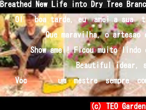 Breathed New Life into Dry Tree Branch, Best Garden Ideas | TEO Garden  (c) TEO Garden