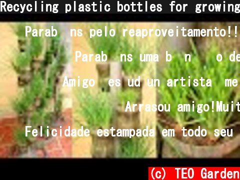 Recycling plastic bottles for growing onions and garlic, vertical garden ideas  (c) TEO Garden